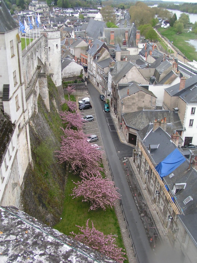 amboise-schloss