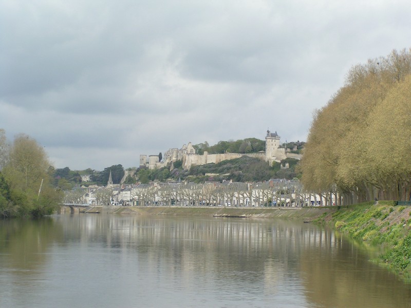 chinon