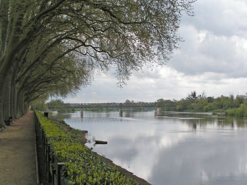 chinon