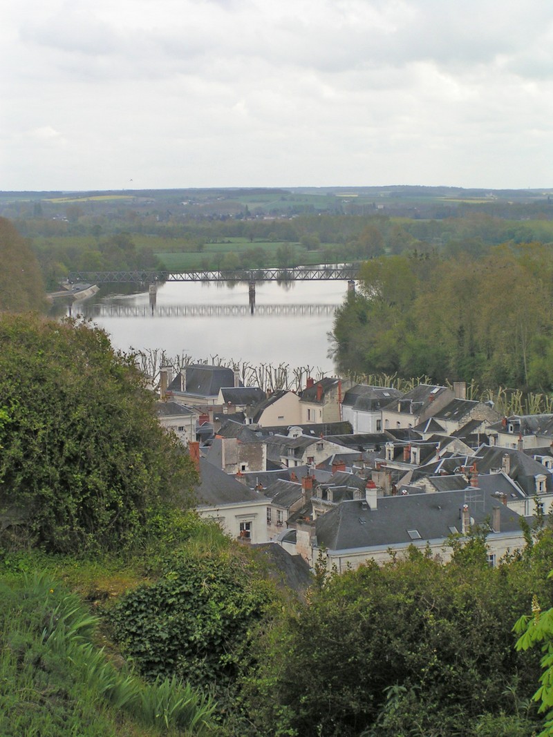 chinon