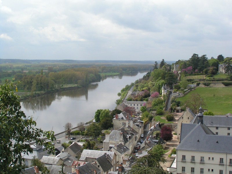 chinon