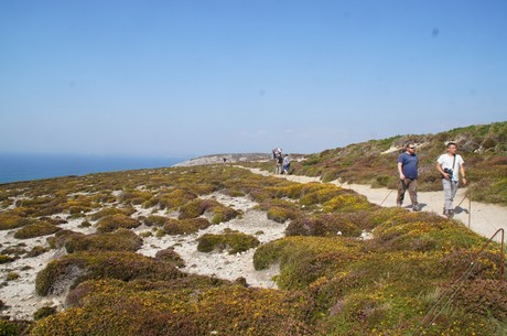 cap-de-la-chevre