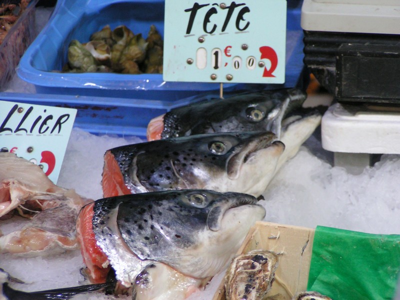 carpentras-markt