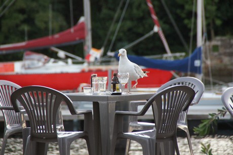 douarnenez