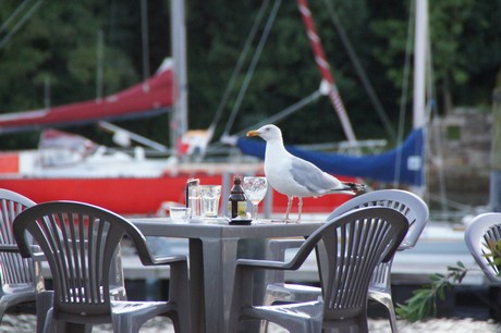 douarnenez