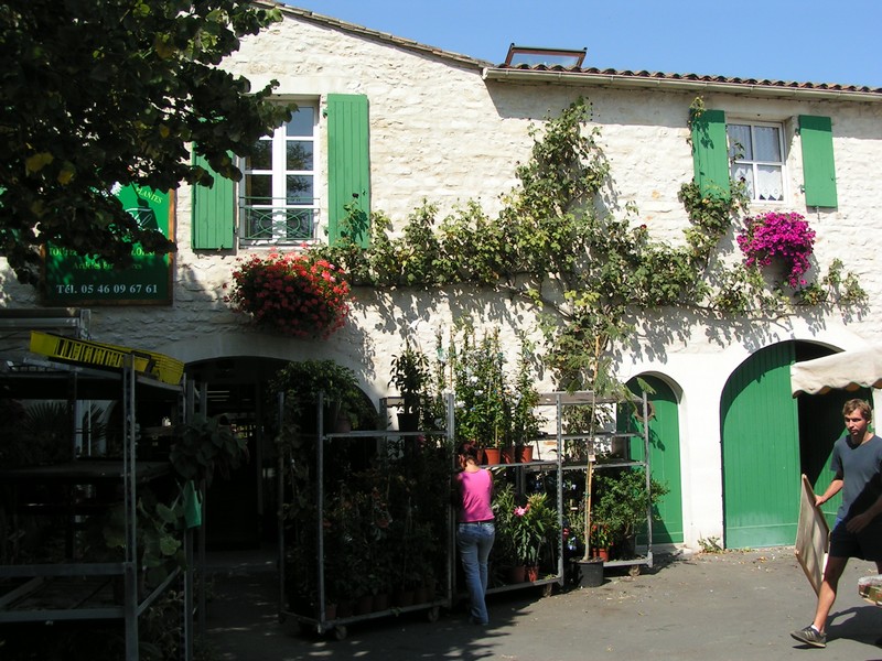 la-flotte-en-re-markt