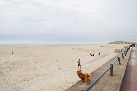 le-touquet-paris-plage