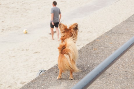 le-touquet-paris-plage