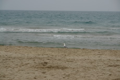 marseillan-plage