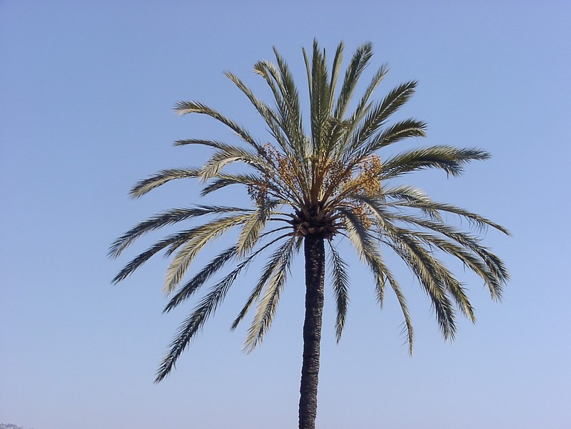 menton-altstadt