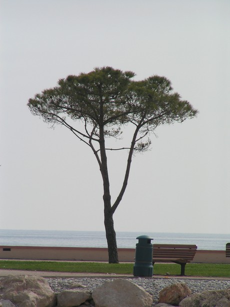 menton-strand