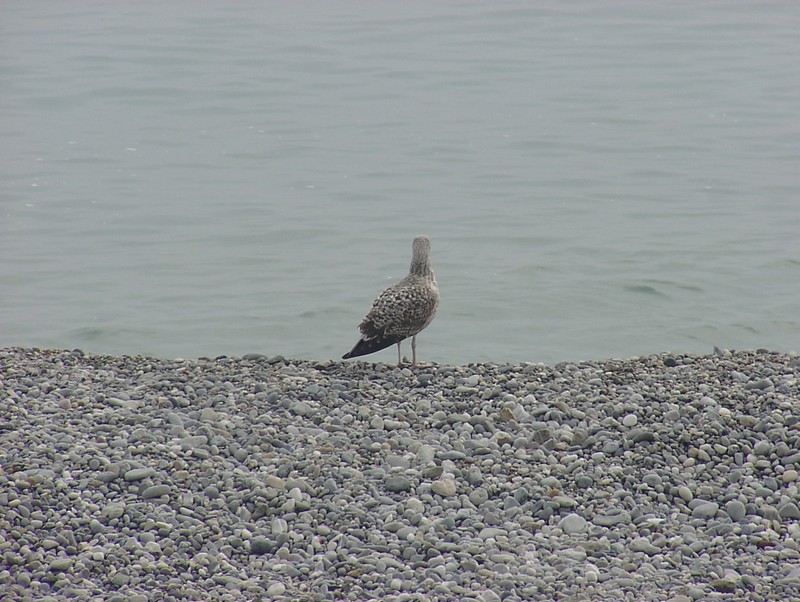 menton-strand