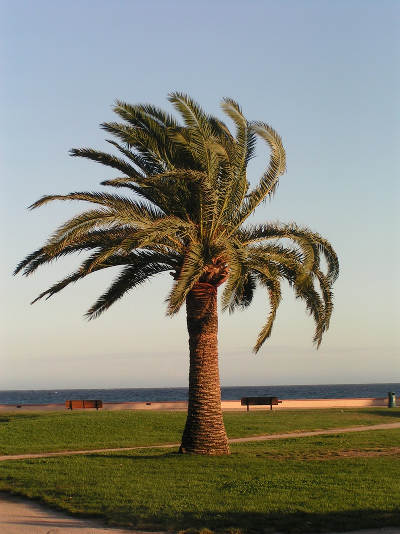 menton-strand