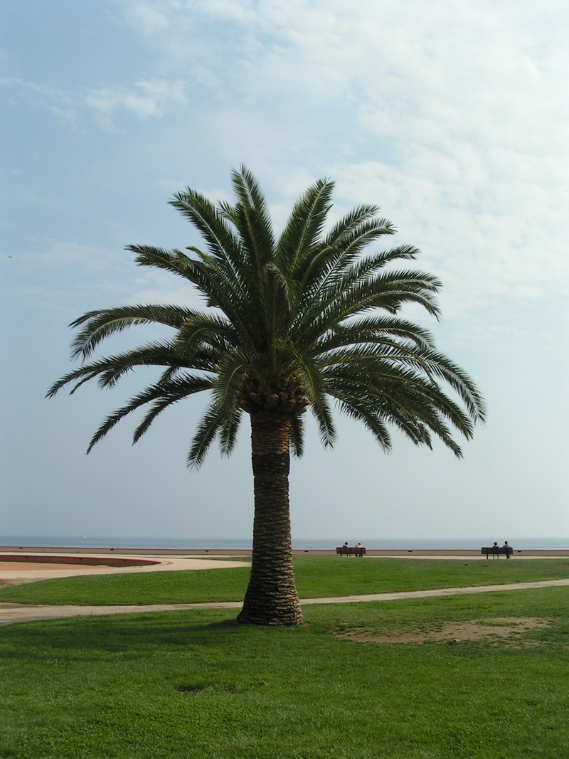 menton-strand