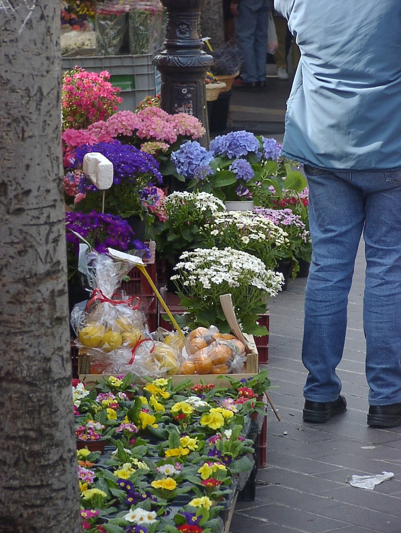 nizza-blumenmarkt