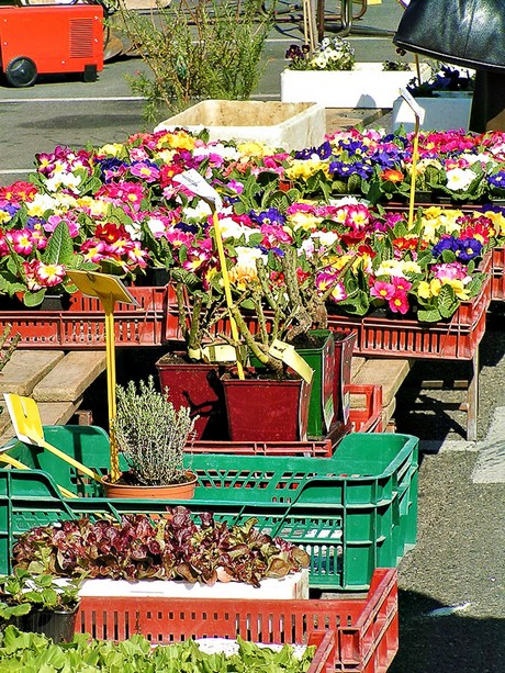 orange-markt