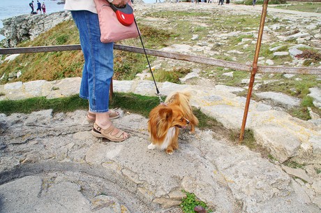 pointe-du-raz