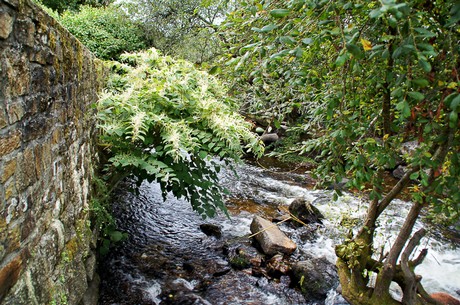 pont-aven