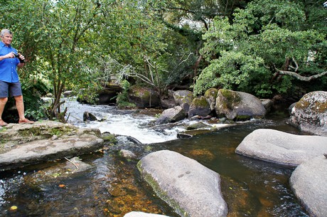 pont-aven