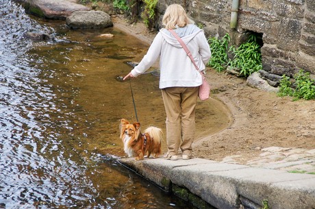 pont-aven