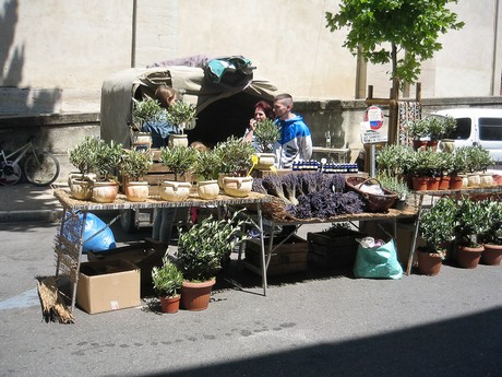 Provence