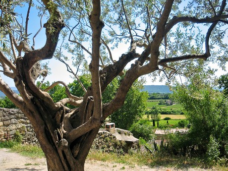 Provence