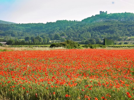 Provence