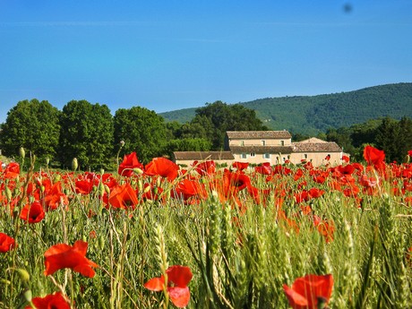 Provence