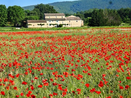 Provence