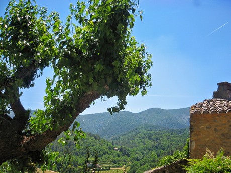 Provence