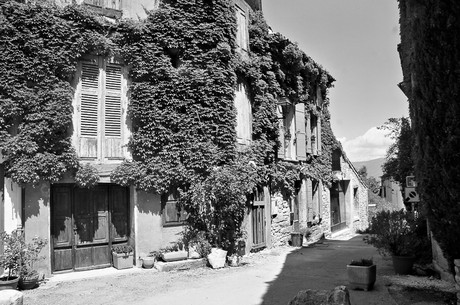 Saignon