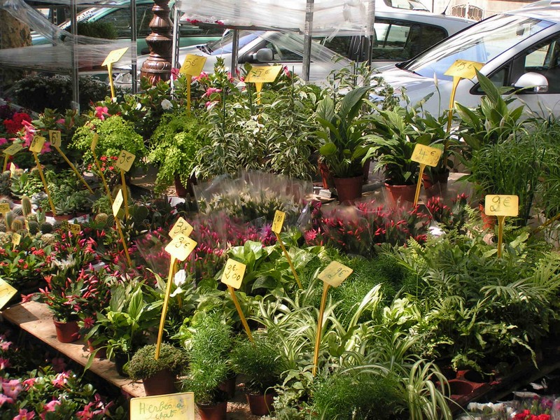 tours-blumenmarkt