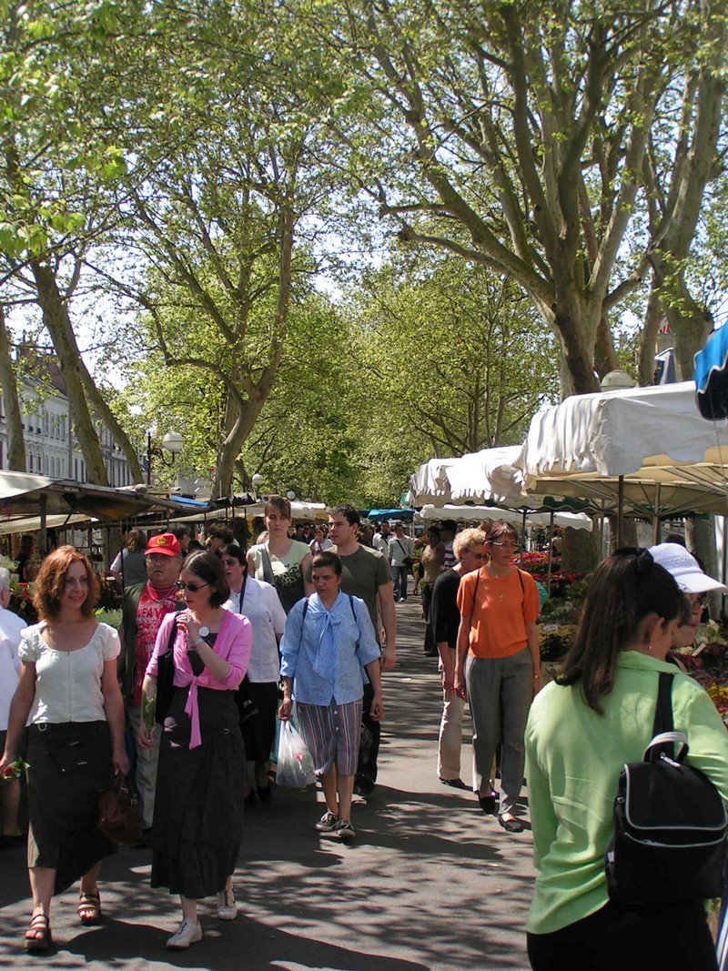 tours-blumenmarkt