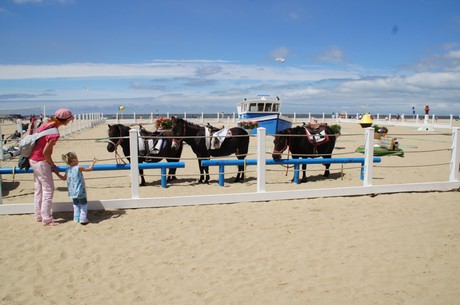 trouville-sur-mer