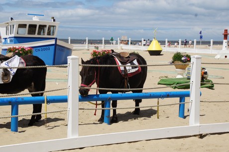 trouville-sur-mer