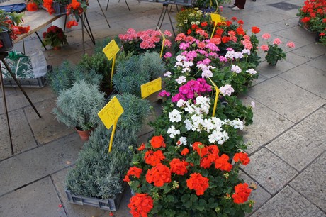 markt