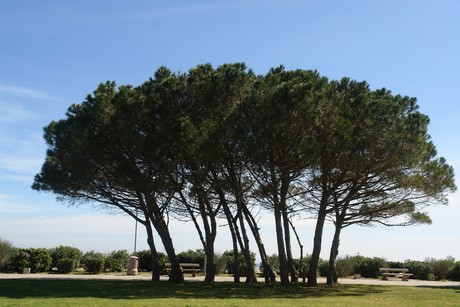 argeles-sur-mer