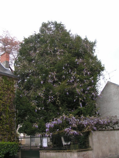azay-le-rideau