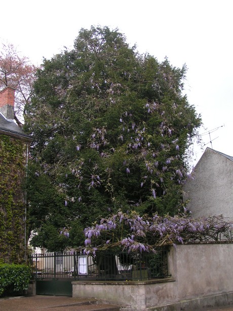 azay-le-rideau