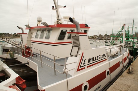 barfleur