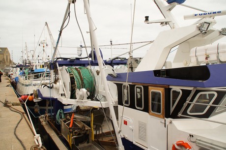 barfleur