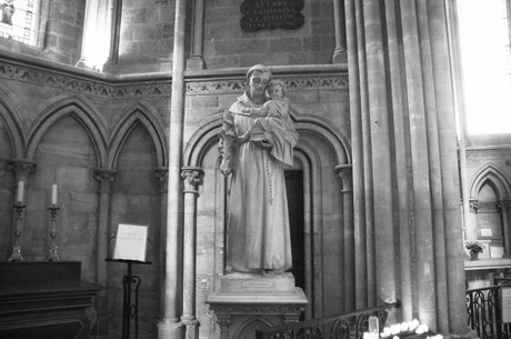 bayeux
