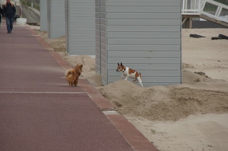 benerville-sur-mer