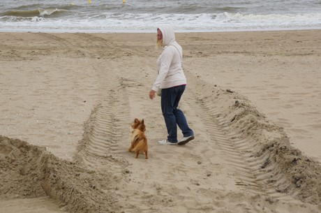 benerville-sur-mer
