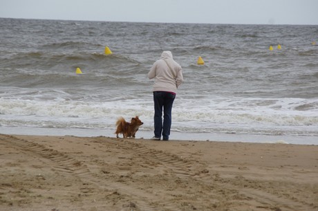benerville-sur-mer