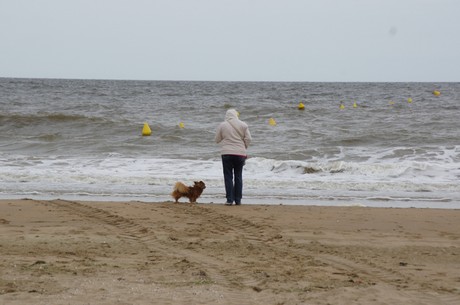 benerville-sur-mer