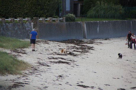 brignogan-plage