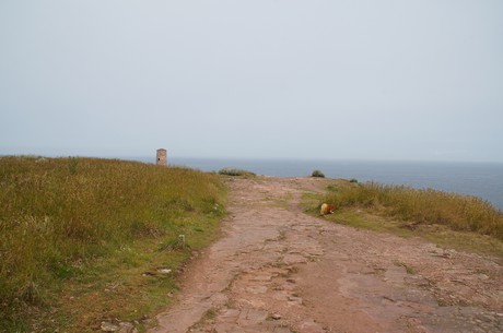 Cap-Frehel