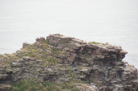Cap-Frehel