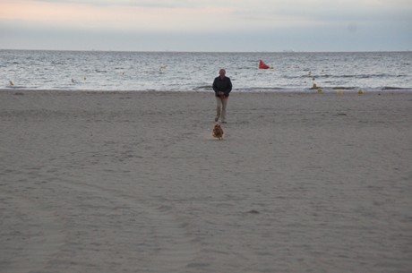 deauville